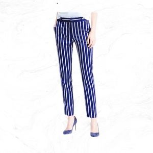 Banana Republic Ryan Straight-Fit Stripe Pants